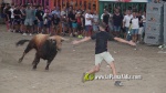 El Fuente Ymbro de Satine, expectaci? i homenatge a gran altura