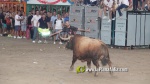 El Fuente Ymbro de Satine, expectaci? i homenatge a gran altura