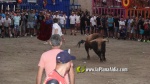 El Fuente Ymbro de Satine, expectaci? i homenatge a gran altura