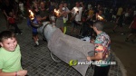 Borriana vibra amb els tancaments de bous embolats per a nens i adults