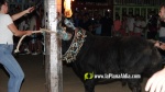 Borriana vibra amb els tancaments de bous embolats per a nens i adults