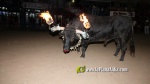 Borriana vibra amb els tancaments de bous embolats per a nens i adults
