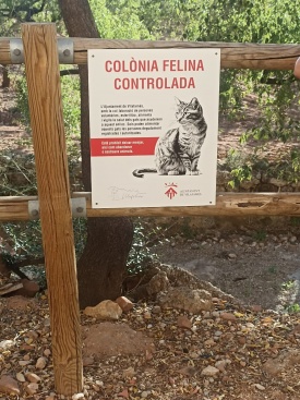 Vilafams crea un pla de gesti i control de colnies felines