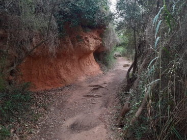Se cierra el acceso a la ruta Botánica del Paisaje Protegido de la Desembocadura del río Mijares