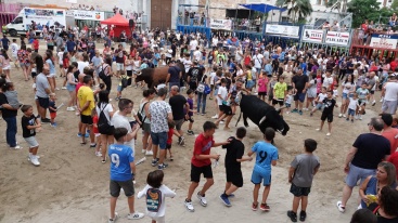 Fotografia /Galeria/2024/9/232595_147893/5_M1.jpg