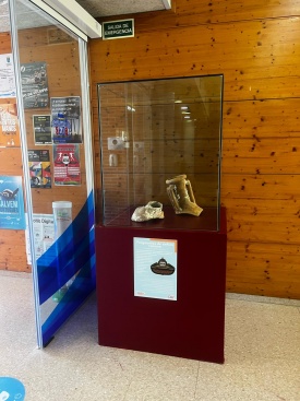 Fotografia /Galeria/2024/9/232676_147960/3_M1.jpg