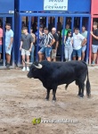Fotografia /Galeria/2024/9/232691_147975/2_M1.jpg