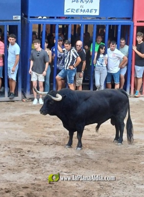 Fotografia /Galeria/2024/9/232691_147975/2_M1.jpg