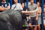 Fotografia /Galeria/2024/9/232691_147975/4_M1.jpg