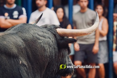 Fotografia /Galeria/2024/9/232691_147975/4_M1.jpg