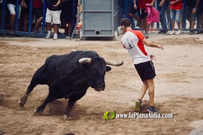 Fotografia /Galeria/2024/9/232691_147975/5_M1.jpg