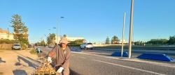 Benicarl contracta un pe agropecuari a travs del Pla d'Ocupaci de la Diputaci