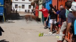 Les exhibicions taurines ja s?n presents a Festa La Vila 2024