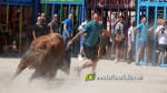 Les exhibicions taurines ja s?n presents a Festa La Vila 2024