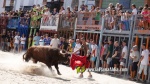 Les exhibicions taurines ja s?n presents a Festa La Vila 2024