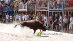 Les exhibicions taurines ja s?n presents a Festa La Vila 2024