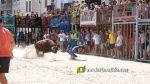 Les exhibicions taurines ja s?n presents a Festa La Vila 2024