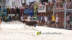 Les exhibicions taurines ja s?n presents a Festa La Vila 2024