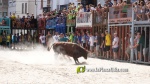 Les exhibicions taurines ja s?n presents a Festa La Vila 2024