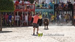 Les exhibicions taurines ja s?n presents a Festa La Vila 2024