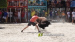 Les exhibicions taurines ja s?n presents a Festa La Vila 2024