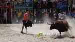 Les exhibicions taurines ja s?n presents a Festa La Vila 2024