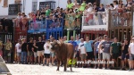 Les exhibicions taurines ja s?n presents a Festa La Vila 2024