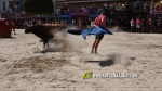 Les exhibicions taurines ja s?n presents a Festa La Vila 2024