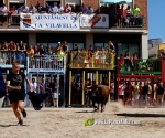 Les exhibicions taurines ja s?n presents a Festa La Vila 2024