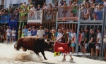 Les exhibicions taurines ja s?n presents a Festa La Vila 2024