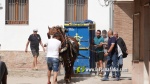 Les exhibicions taurines ja s?n presents a Festa La Vila 2024