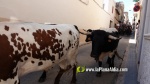 El II tancament camper torna a omplir d'ambient els carrers de la Vilavella