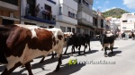 El II tancament camper torna a omplir d'ambient els carrers de la Vilavella
