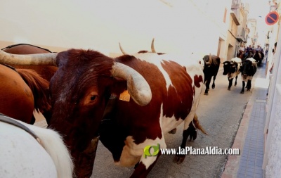 Fotografia /Galeria/2024/9/233032_148260/3_M1.jpg