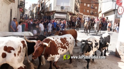 La Vilavella hace balance exitoso del primer fin de semana de fiestas con la participación multitudinaria en sus actos