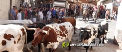 La Vilavella fa balan reeixit del primer cap de setmana de festes amb la participaci multitudinria als seus actes