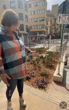 El PSOE critica que a Castelló hi ha 'plantes mortes i carrers convertits en un param'