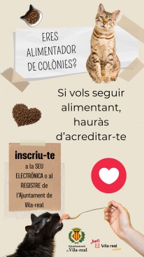 Vila-real ofereix formació especialitzada en gestió de colònies felines
