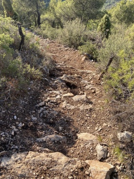 Fotografia /Galeria/2024/9/233196_148339/4_M1.jpg