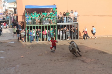 Almenara arranca las exhibiciones taurinas con la 'cogida' a un vecino