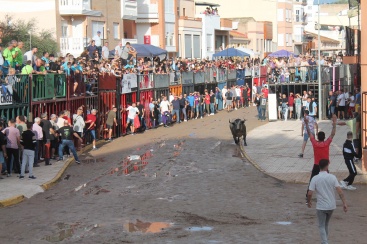 Fotografia /Galeria/2024/9/233336_148448/2_M1.jpg