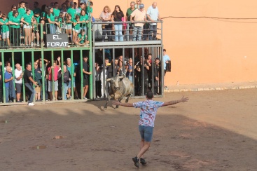 Fotografia /Galeria/2024/9/233336_148448/3_M1.jpg