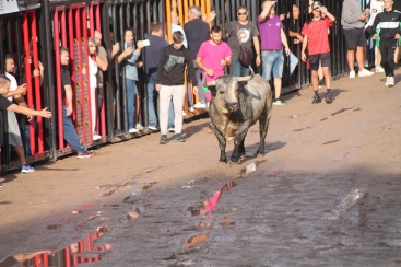 Fotografia /Galeria/2024/9/233336_148448/5_M1.jpg