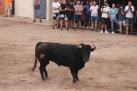 Fotografia /Galeria/2024/9/233488_148558/10_M1.jpg