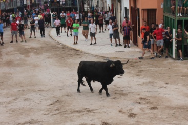 Almenara reprèn les exhibicions taurines amb la lídia de bous de Partit de Resina