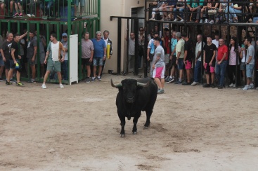 Fotografia /Galeria/2024/9/233488_148558/2_M1.jpg