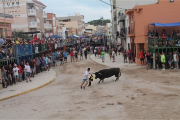 Fotografia /Galeria/2024/9/233488_148558/3_M1.jpg