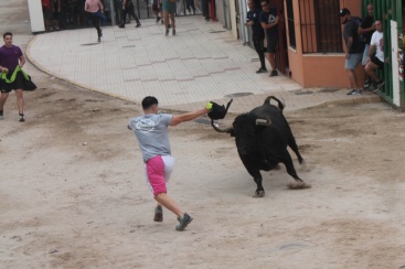 Fotografia /Galeria/2024/9/233488_148558/4_M1.jpg