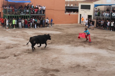 Fotografia /Galeria/2024/9/233488_148558/6_M1.jpg