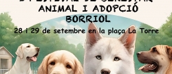 Borriol acoger el I Festival de Bienestar Animal y Adopcin este fin de semana